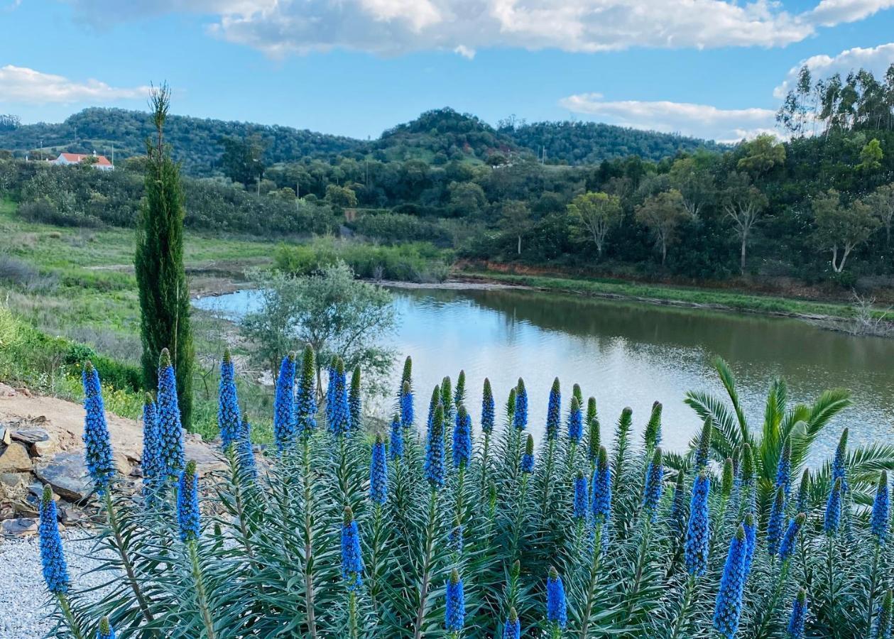Figs On The Funcho Self Catering - A River Side Location Pedreiras  Bagian luar foto